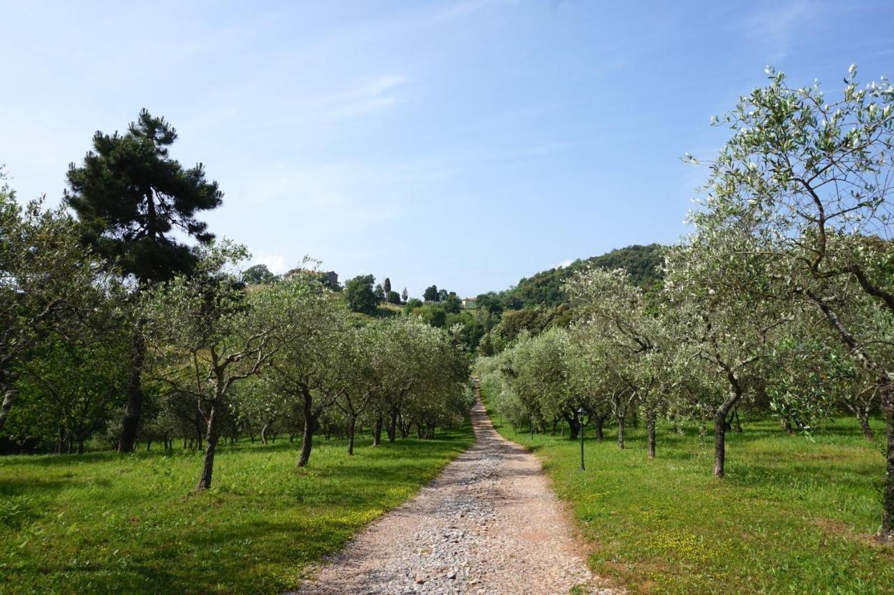 Agriturismo Le Vallilunghe Apartment Lucca Exterior photo